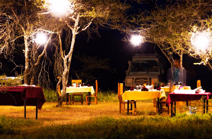 Sero Tented Camp (Ndutu) gallery 7