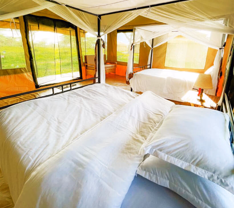 Luxury Safari Tent
