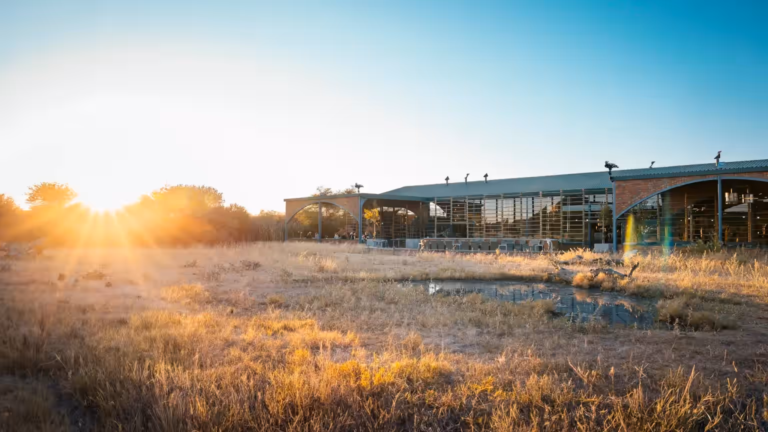 Okonjima plains Camp gallery 5