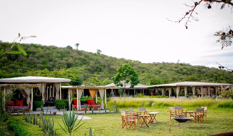 Zebra Plains Mara Camp gallery 1