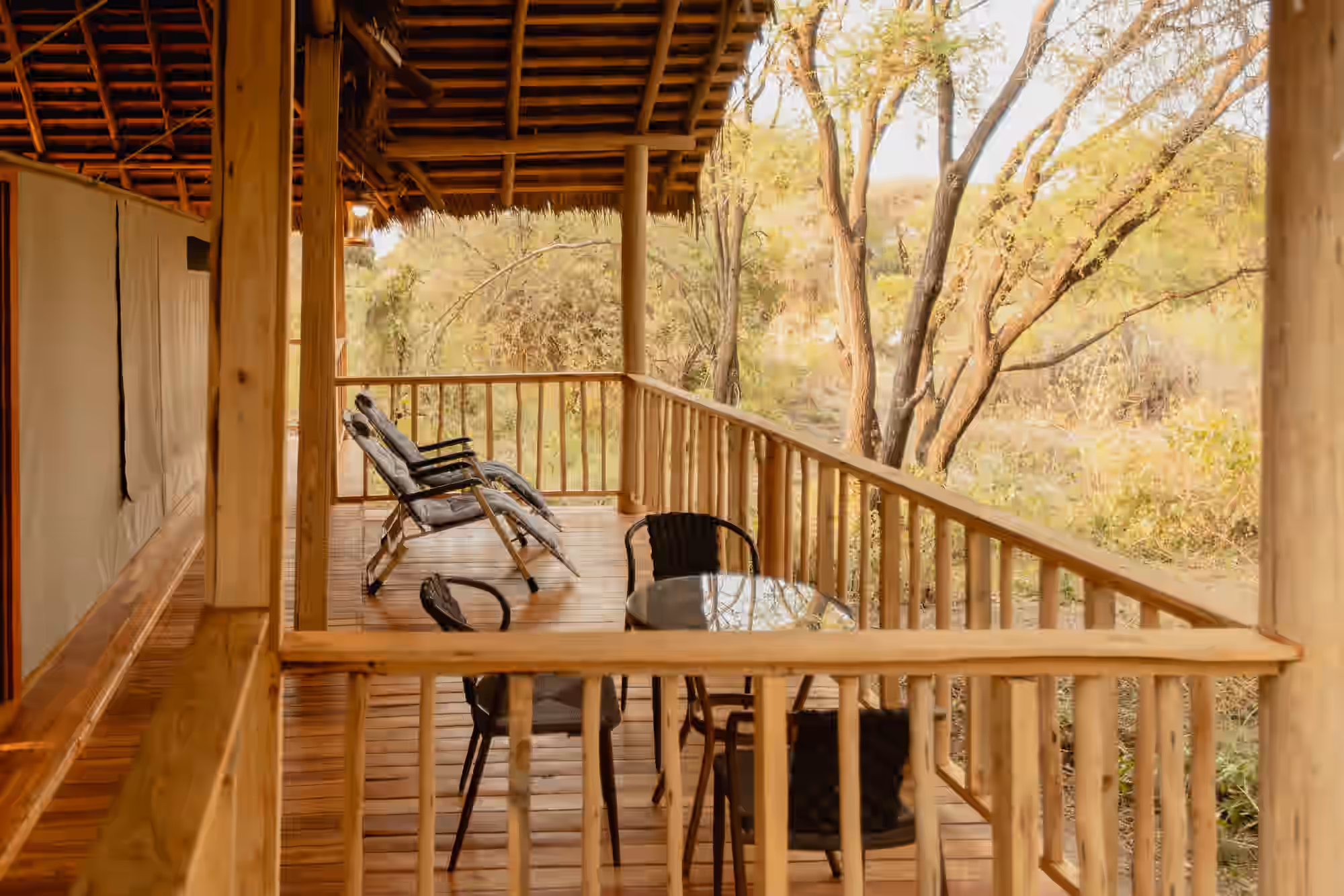 Roika Tarangire Tented Lodge gallery 0