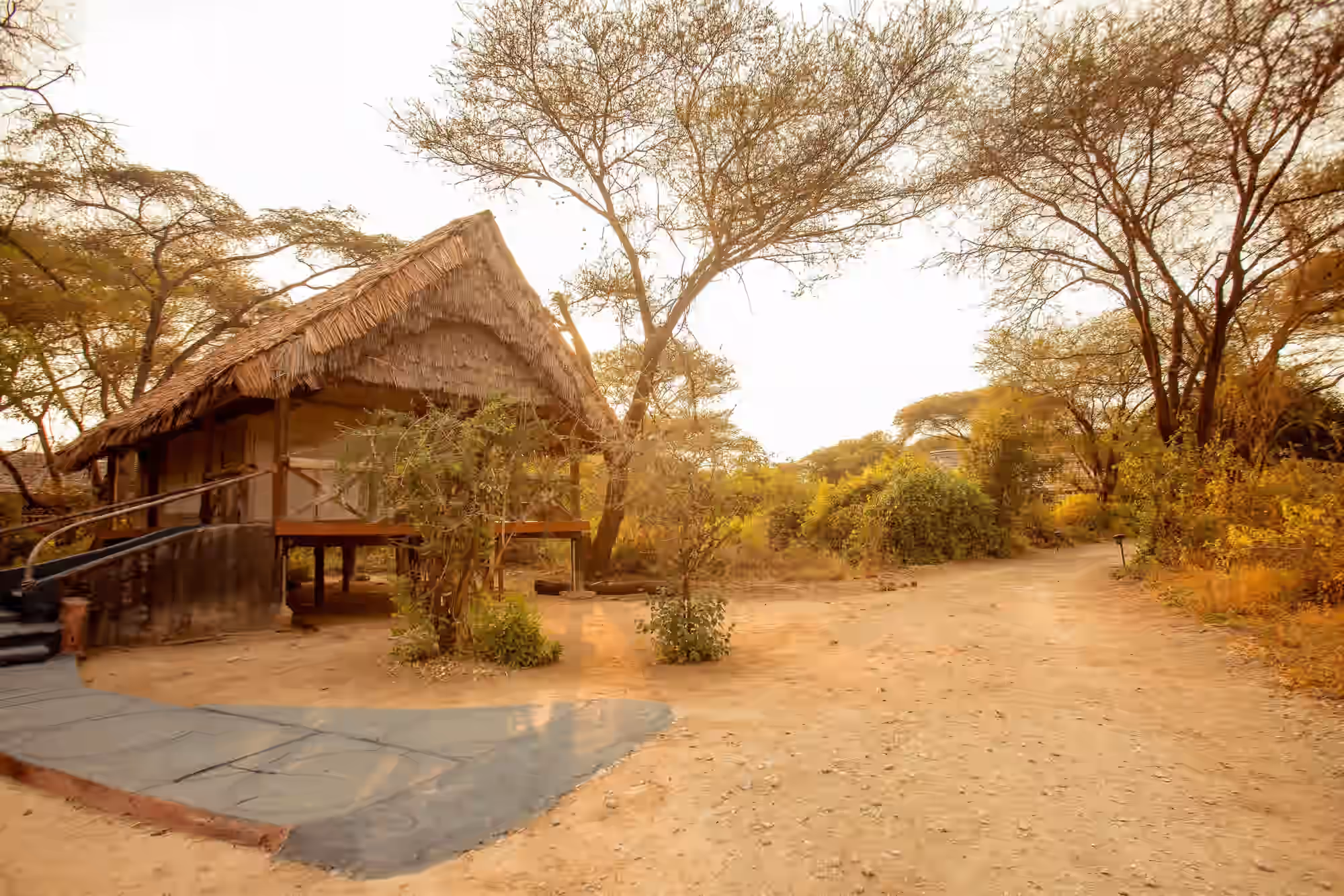 Roika Tarangire Tented Lodge gallery 3