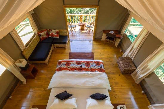 Tree-top Tent (Solo)