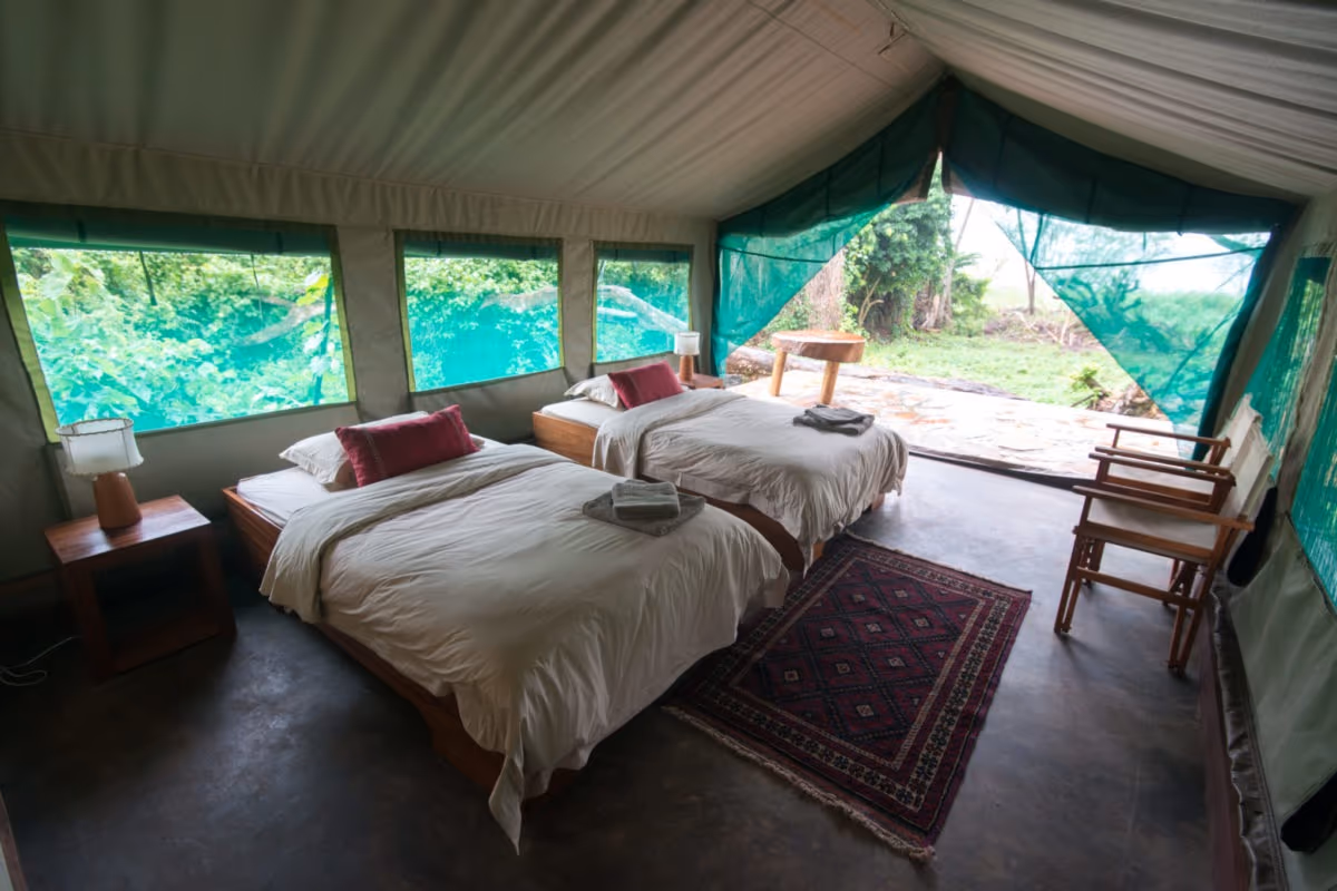 Tree-top Tent (Sharing)