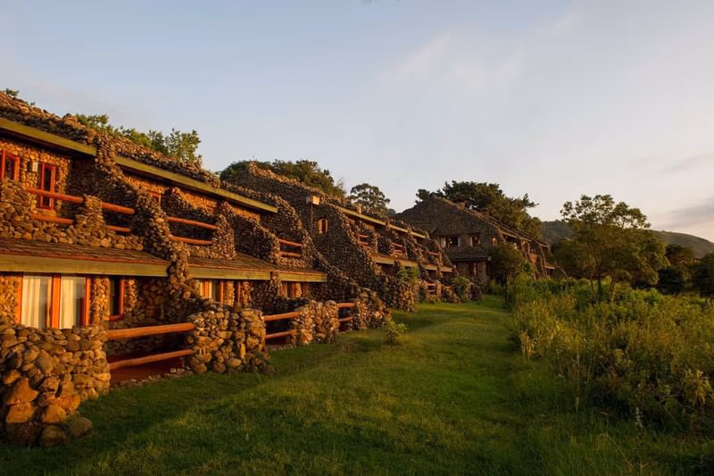 Ngorongoro Serena Safari Lodge gallery 11