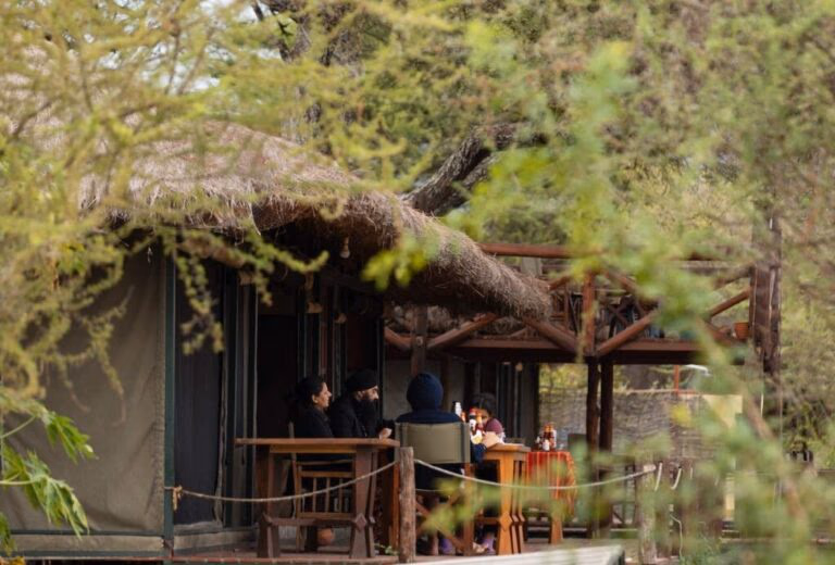 Tarangire Simba Lodge gallery 2