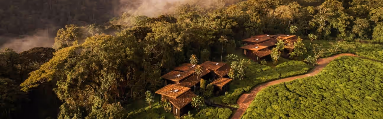 One&Only Nyungwe House gallery 3