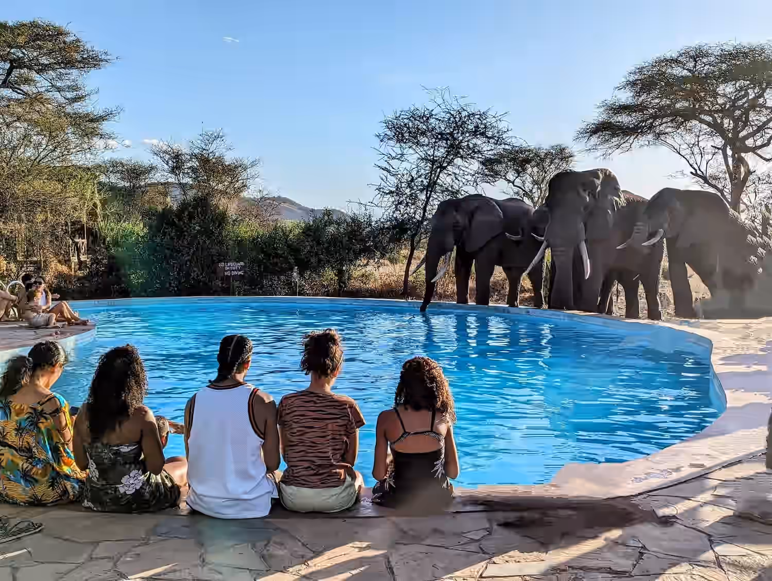 Tarangire Simba Lodge gallery 11