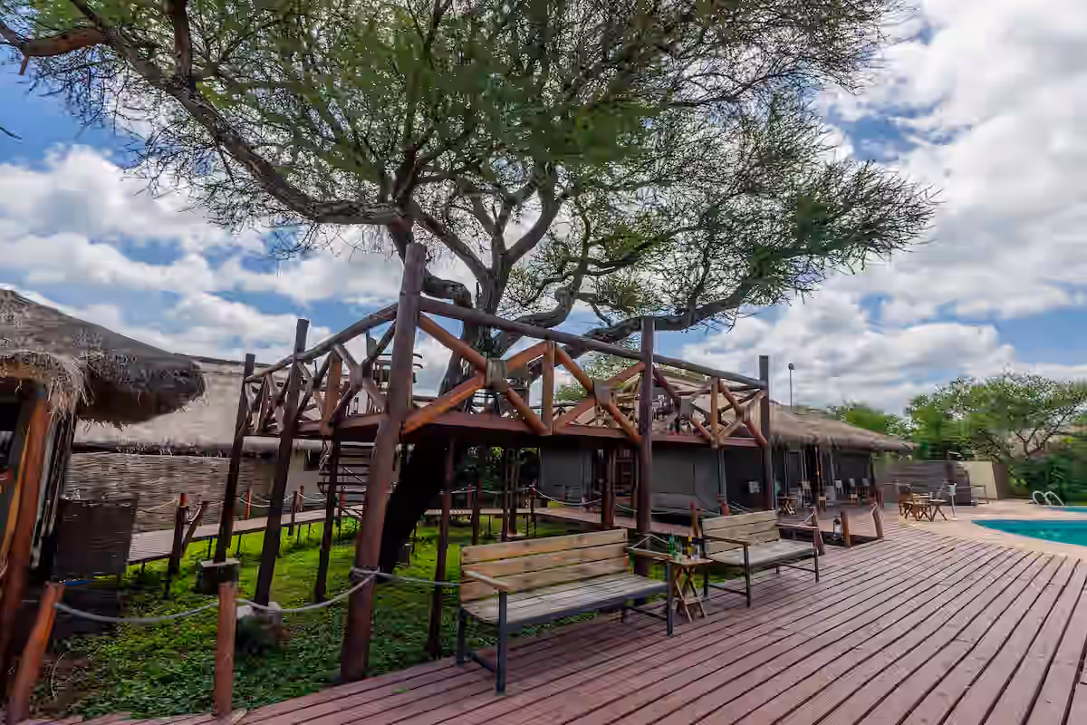 Tarangire Simba Lodge gallery 17