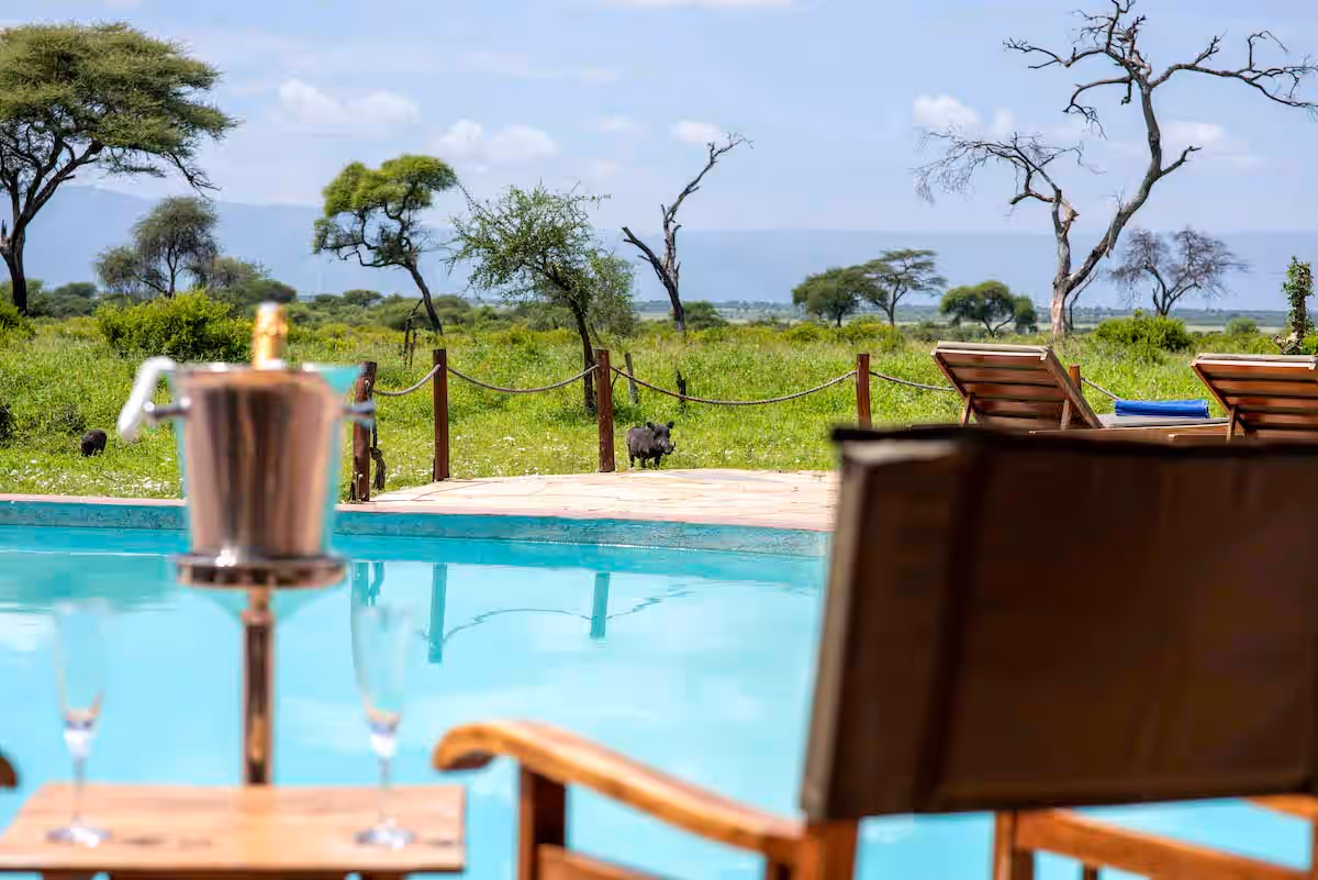 Tarangire Simba Lodge gallery 20