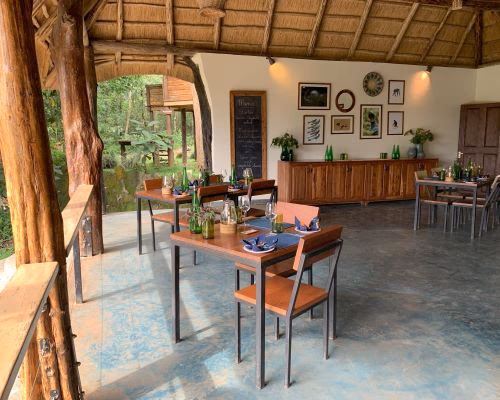 Turaco Treetops Lodge gallery 5