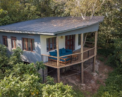 Turaco Treetops Lodge gallery 4