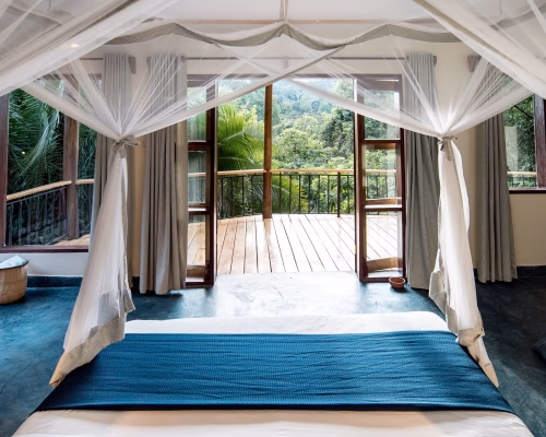 Turaco Treetops Lodge gallery 2