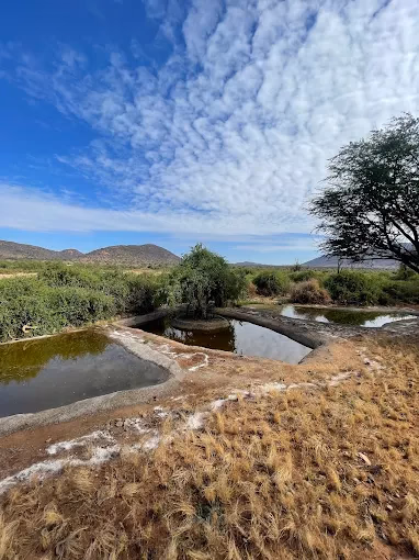 Soroi Samburu Lodge gallery 0