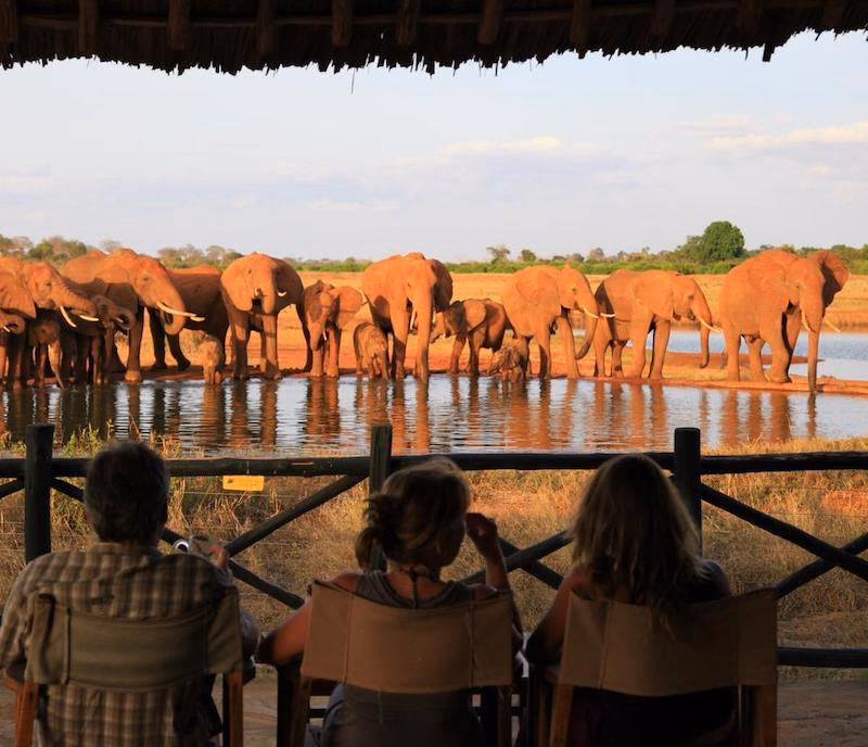 Voi Wildlife Lodge gallery 2