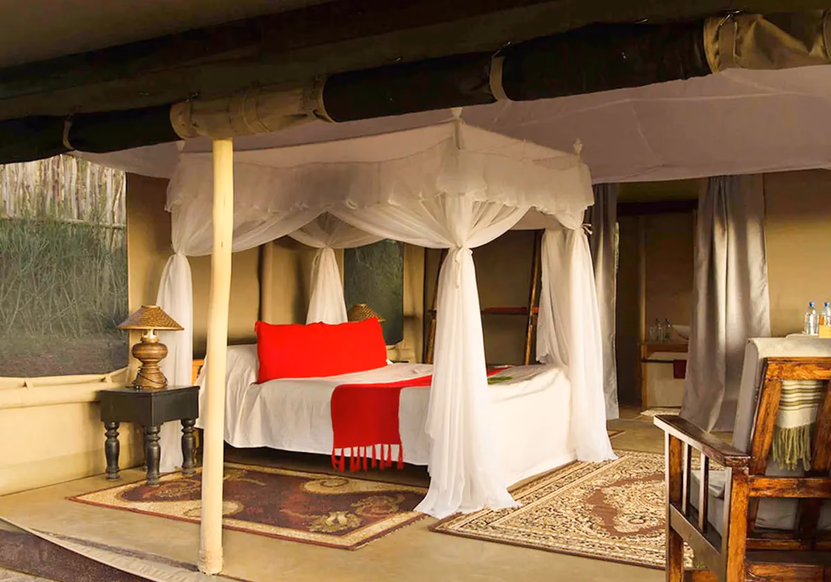 Hillside-Facing Luxury Tent