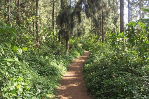 Hiking Mount Meru (Napuru Waterfalls gallery 0
