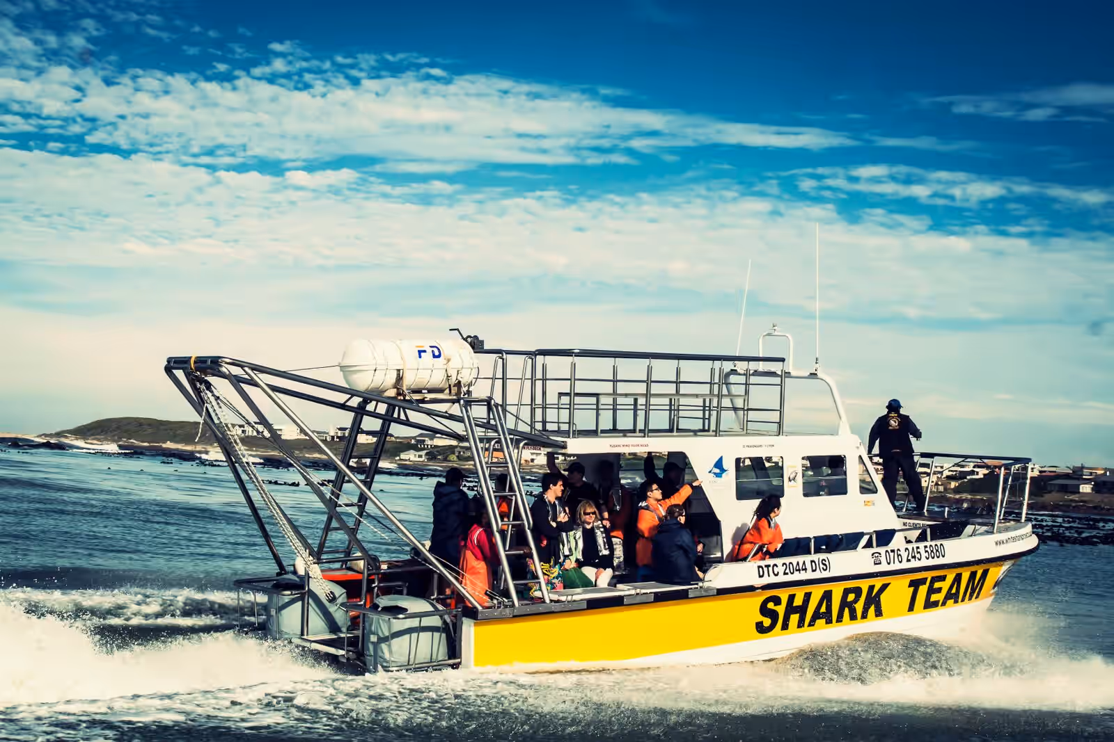 Apex Shark Cage Diving & Marine Big Five Eco-Tour gallery 4