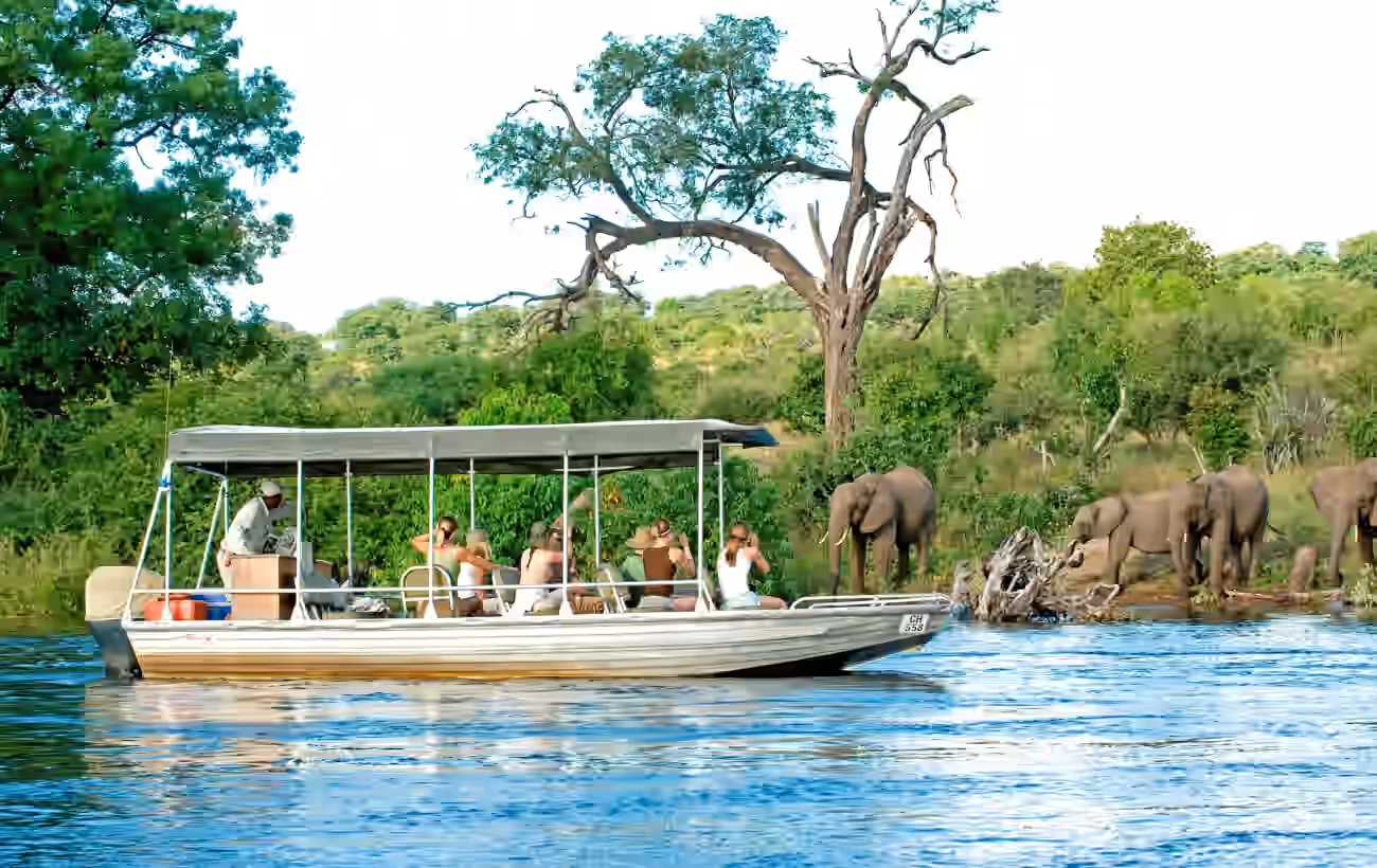 Chobe River Boat Cruise gallery 0