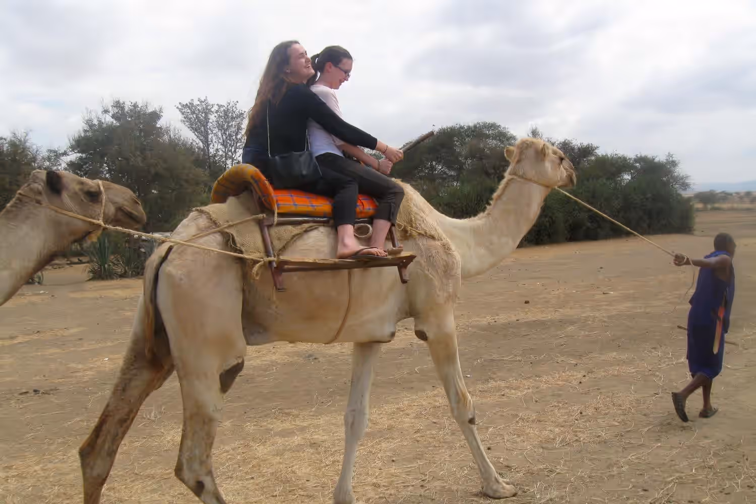 Meserani Snake Park & Maasai Cultural Experience gallery 1