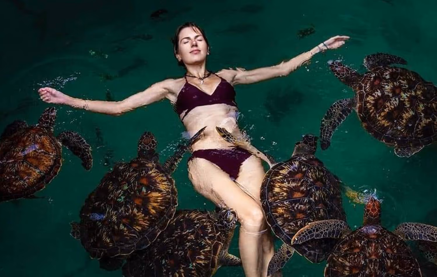 Baraka Natural Aquarium (Salaam Cave Turtles) gallery 1