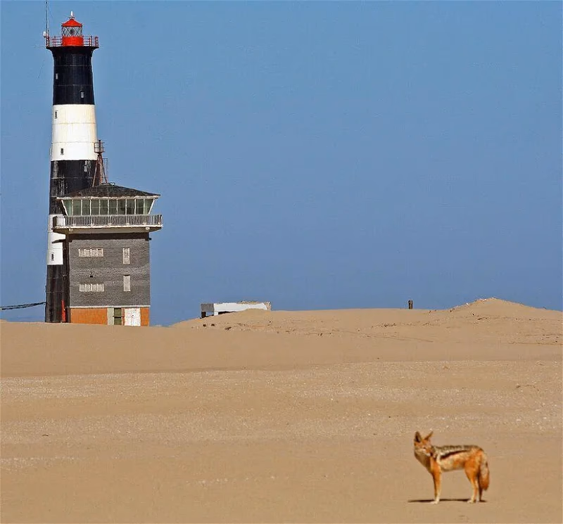 Walvis Bay and Sandwich Harbour Tour gallery 1