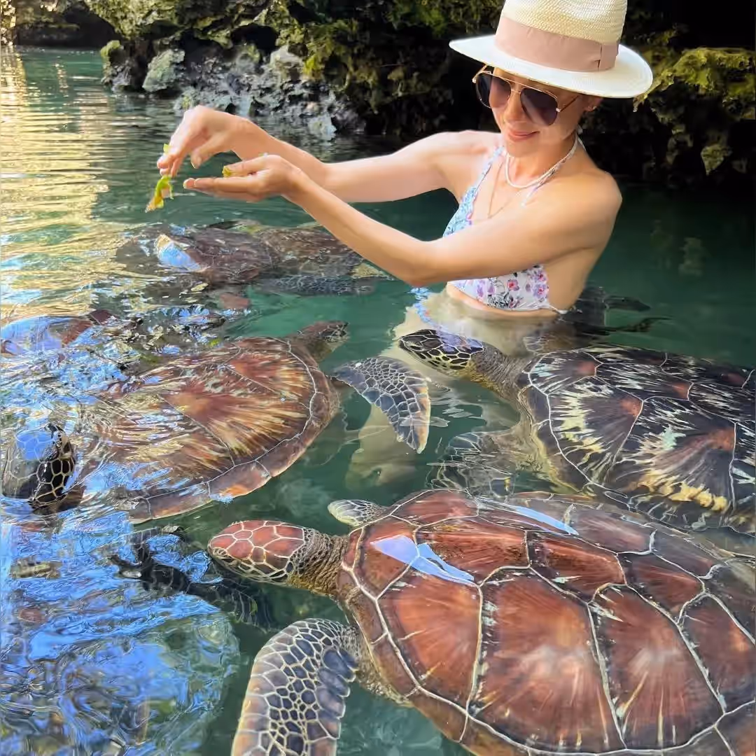 Baraka Natural Aquarium (Salaam Cave Turtles) gallery 0