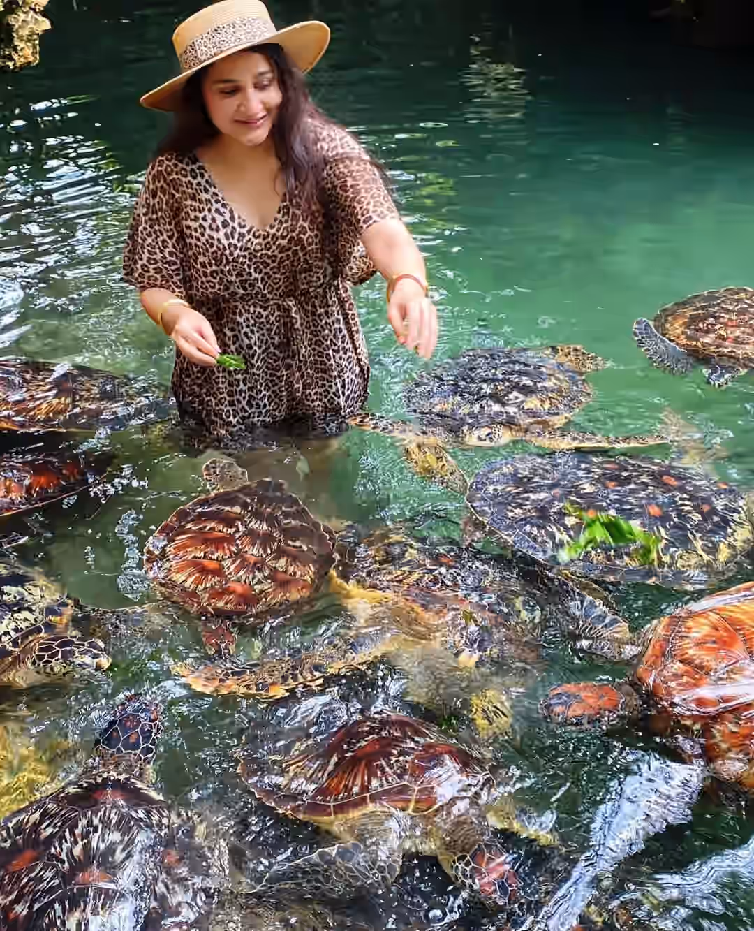 Baraka Natural Aquarium (Salaam Cave Turtles) gallery 3