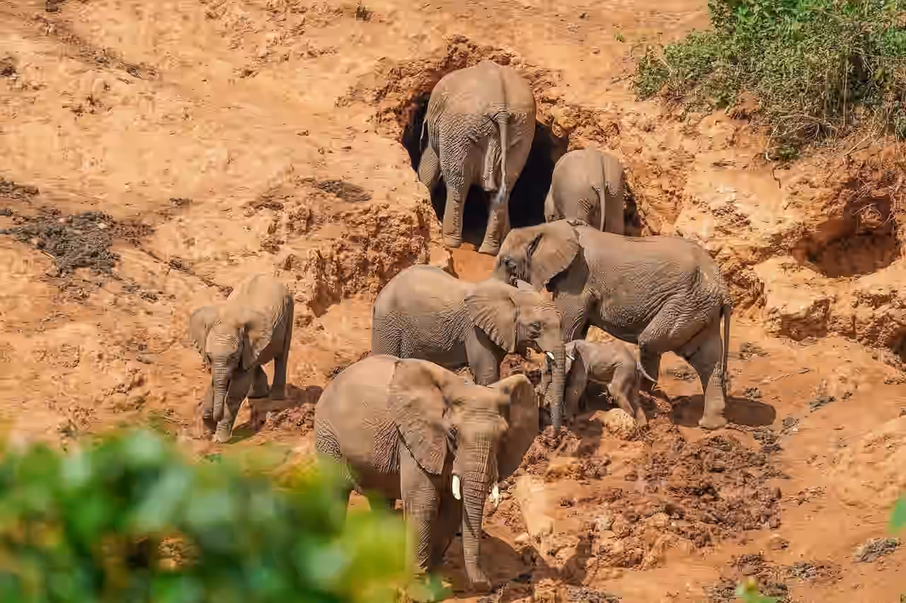 Elephant Caves & Endoro Nature Trail gallery 0