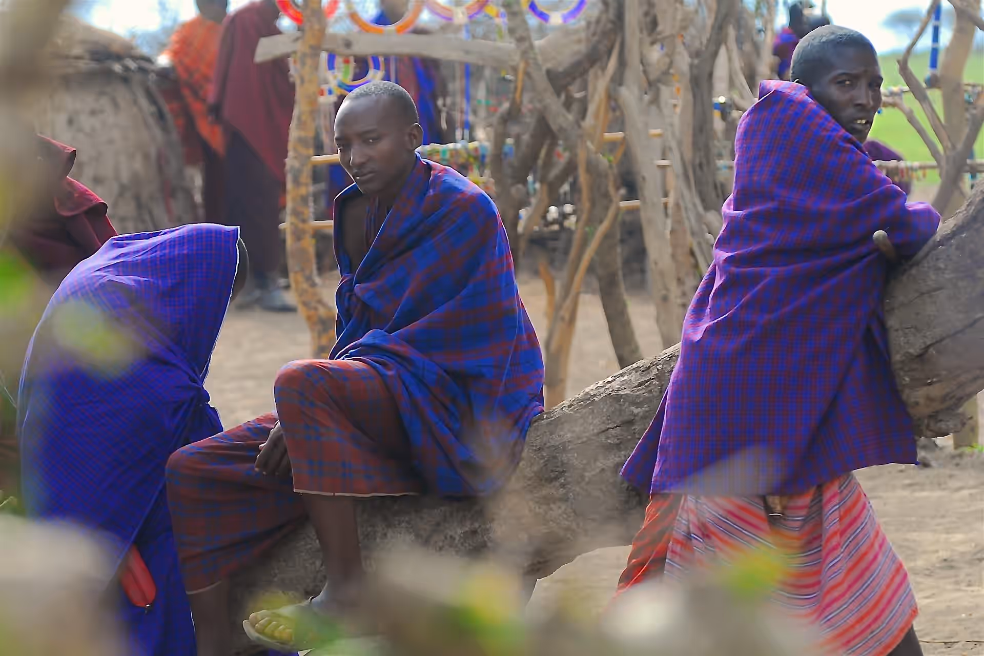 Meserani Snake Park & Maasai Cultural Experience gallery 0