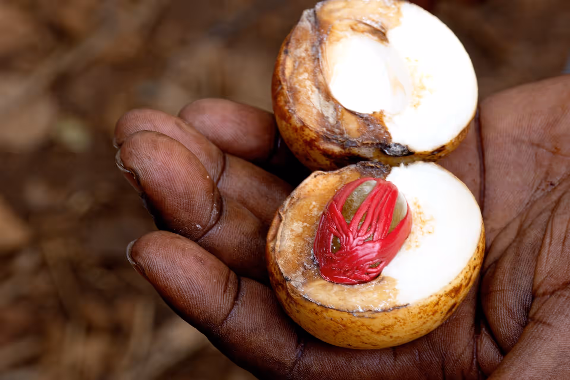 Stone Town & Spice Farm Tour (Full Day) gallery 5