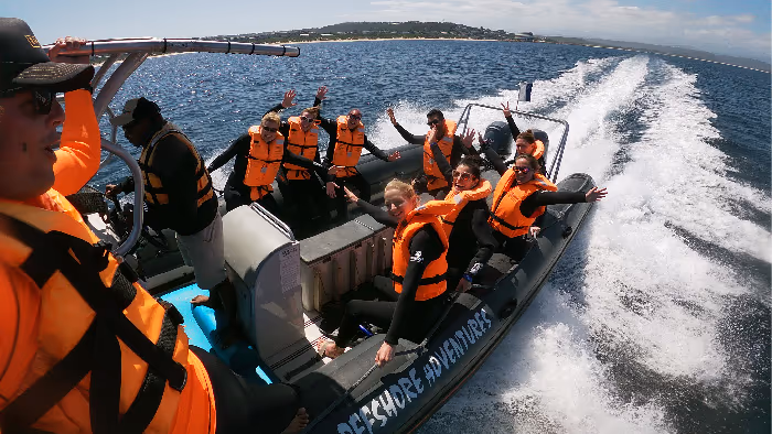 Plettenberg Bay: Guided Cape Fur Seal Snorkeling Adventure gallery 2