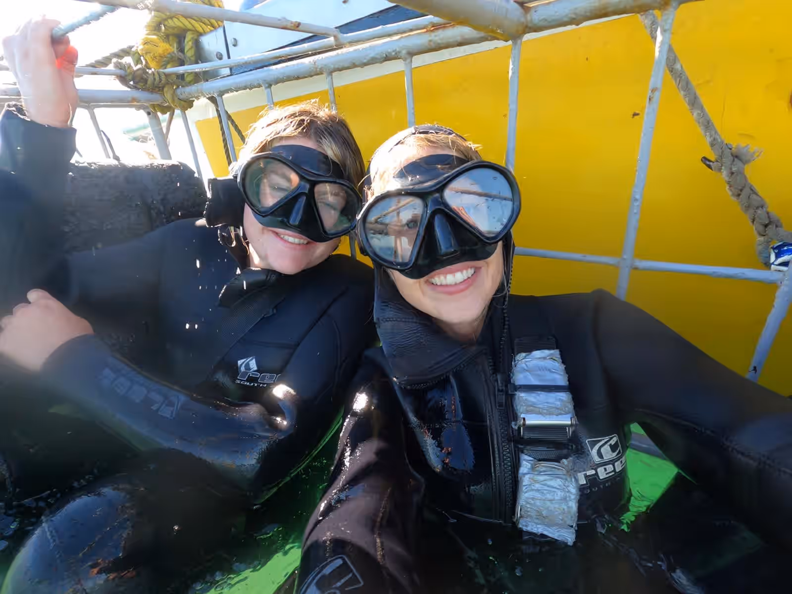 Apex Shark Cage Diving & Marine Big Five Eco-Tour gallery 6