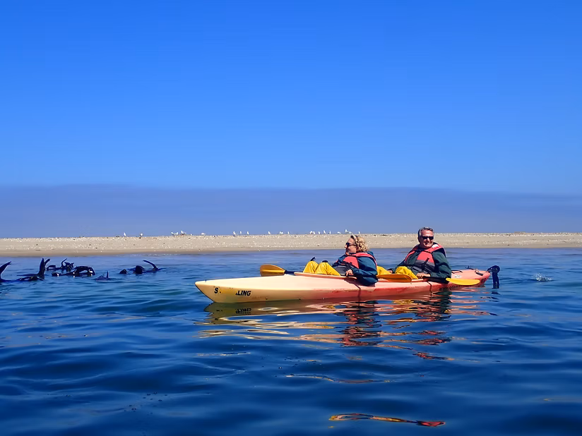 Walvis Bay Pelican Point Eco-Kayaking Adventure gallery 1