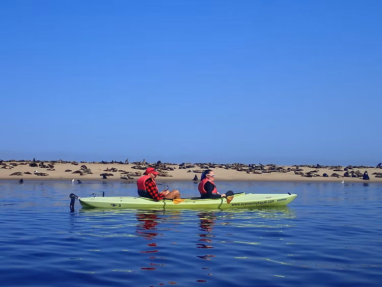Walvis Bay Pelican Point Eco-Kayaking Adventure gallery 2