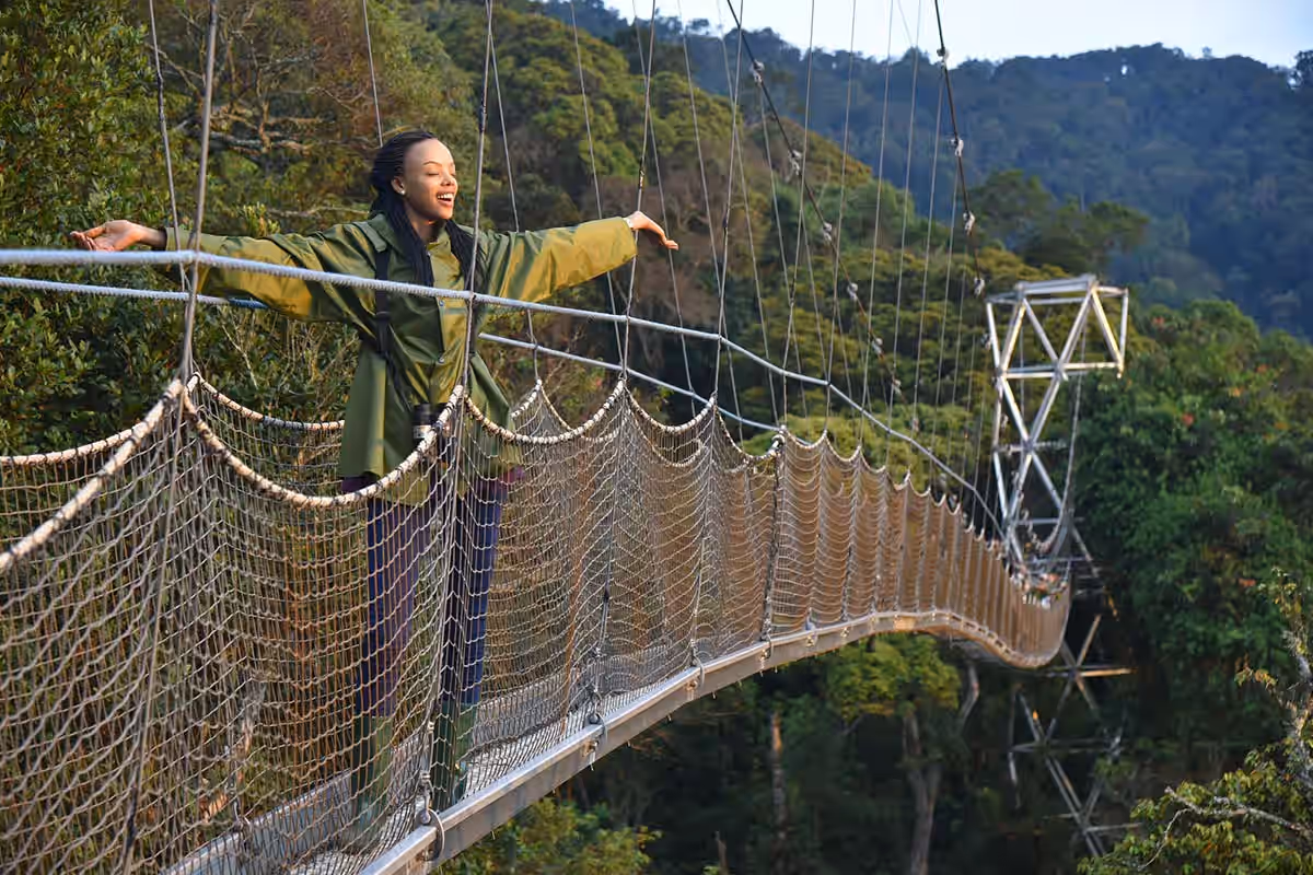 Nyungwe Canopy Walk gallery 1