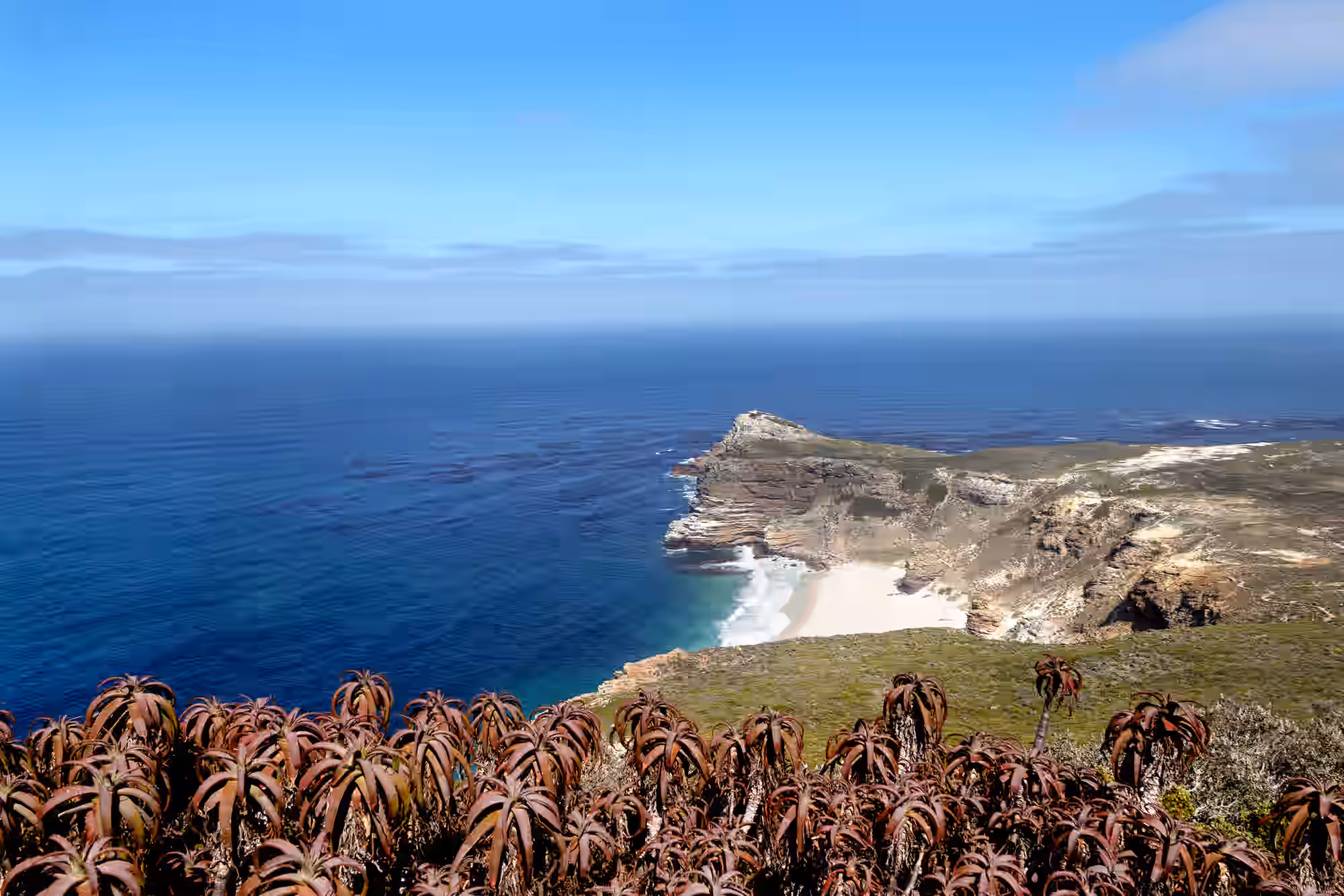 Ultimate Cape Peninsula & Table Mountain gallery 2