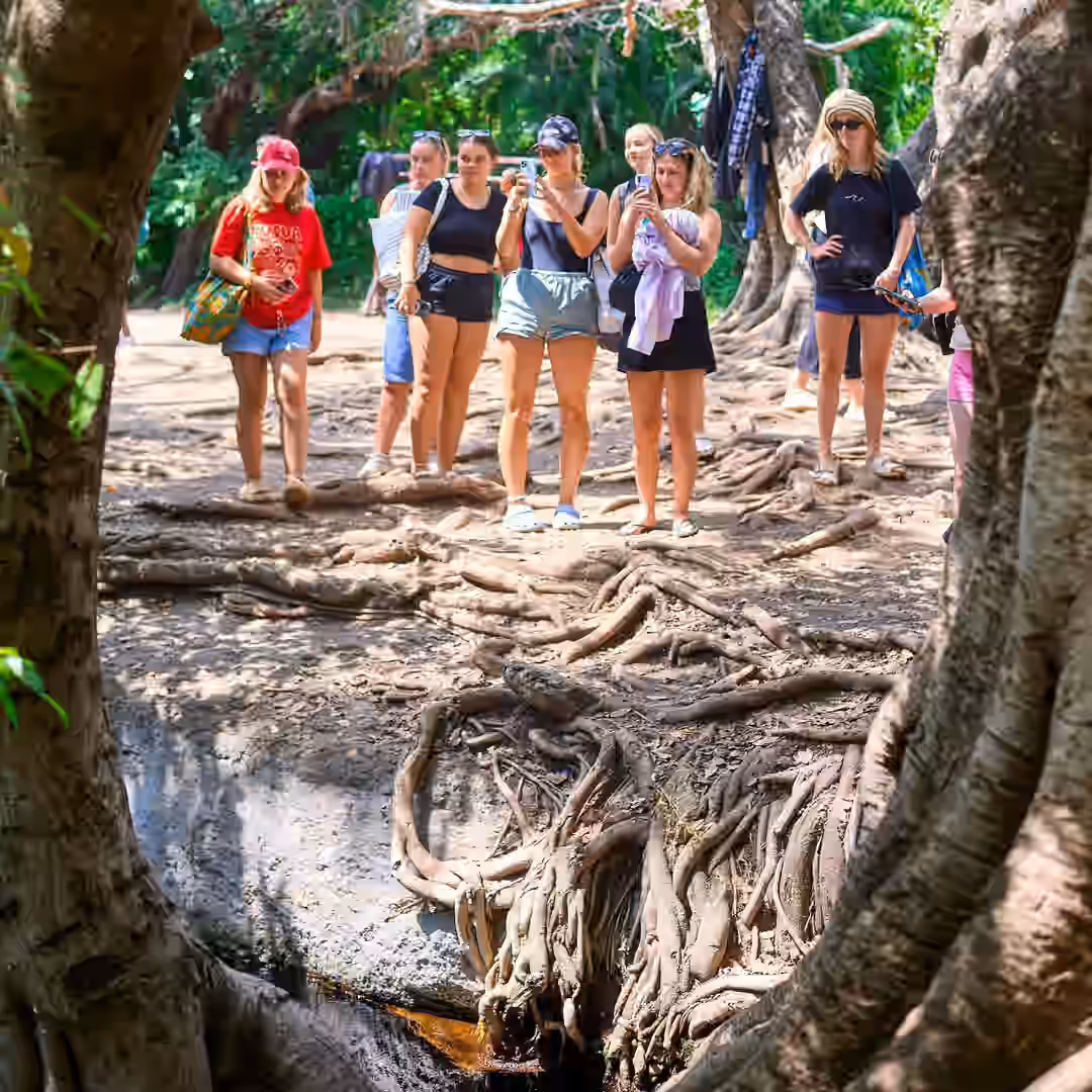 Kikuletwa (Chemka) Hot Springs (Maji Moto) gallery 3