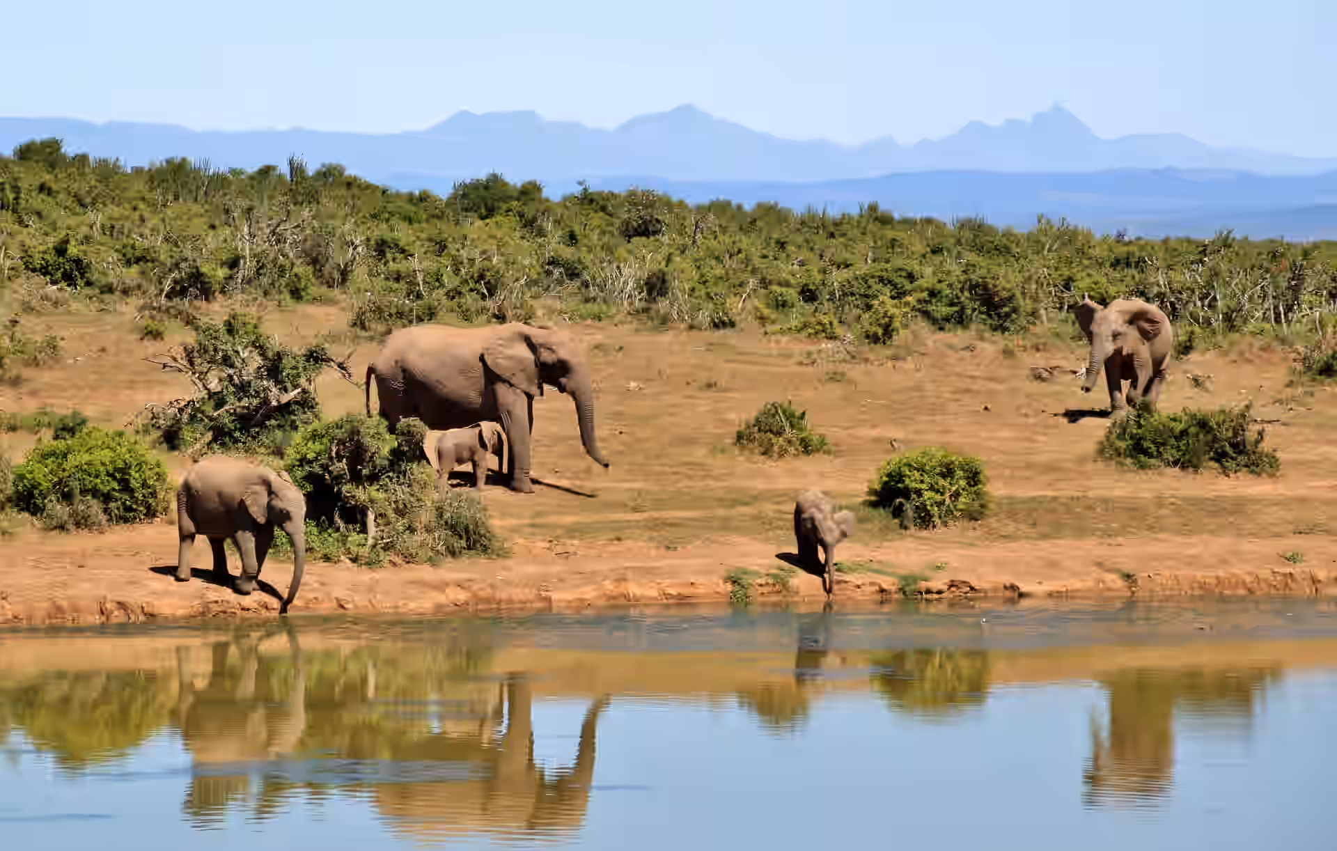 Boat Safari in Nyerere National Park gallery 2