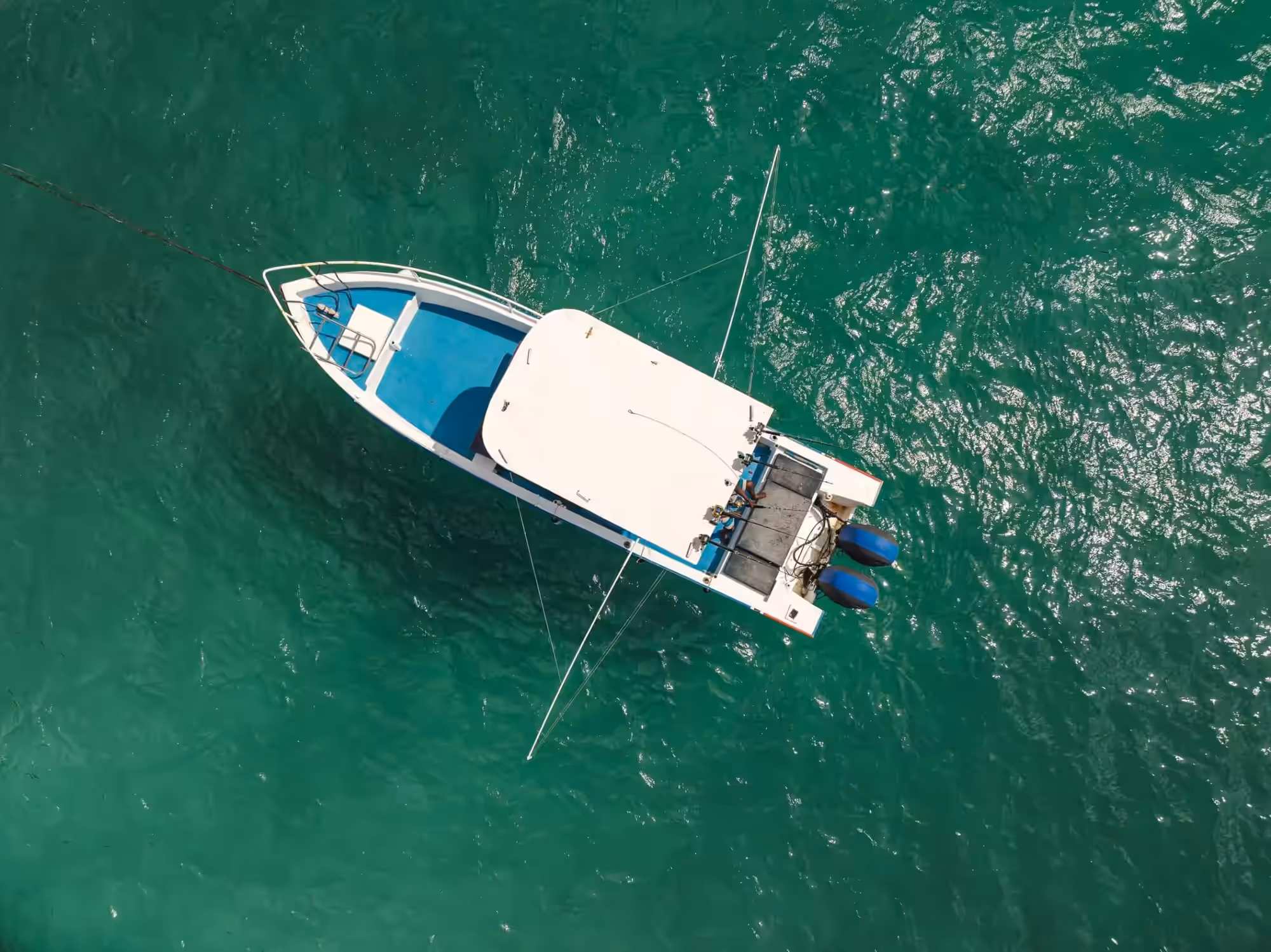 deep sea fishing – full day gallery 3