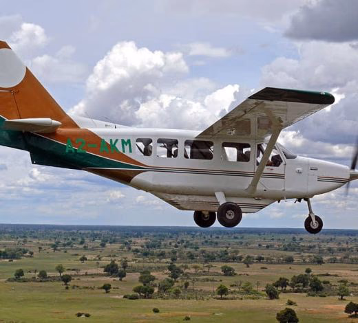 Scenic Helicopter & Charter Flights over the Okavango Delta gallery 0