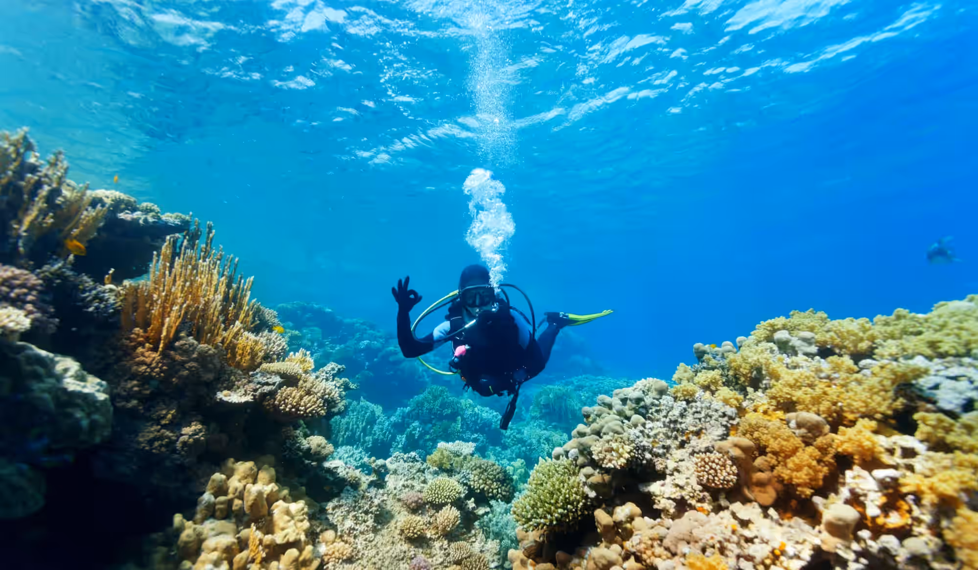 visit the islands near unguja ukuu gallery 1