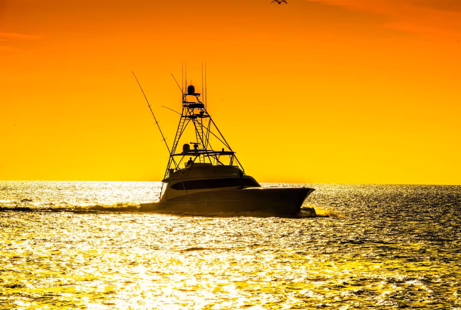 Sunset cruise on a yacht charter – Nungwi bay gallery 2