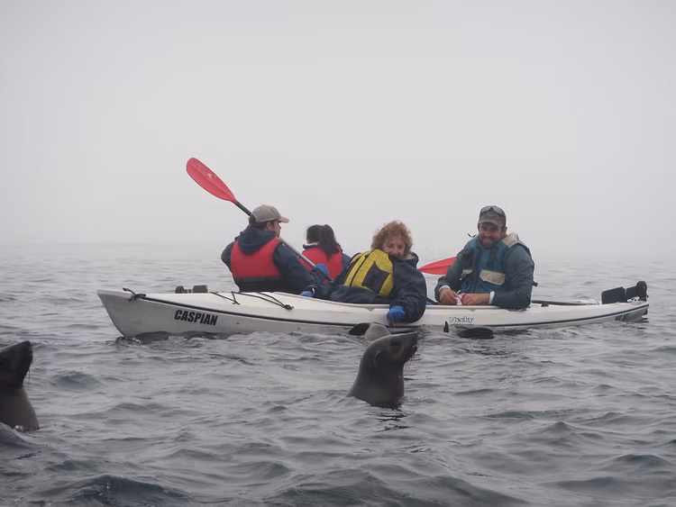 Walvis Bay Pelican Point Eco-Kayaking Adventure gallery 3