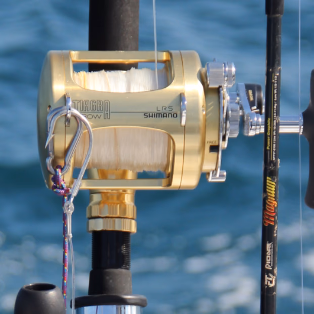 deep sea fishing – full day gallery 6