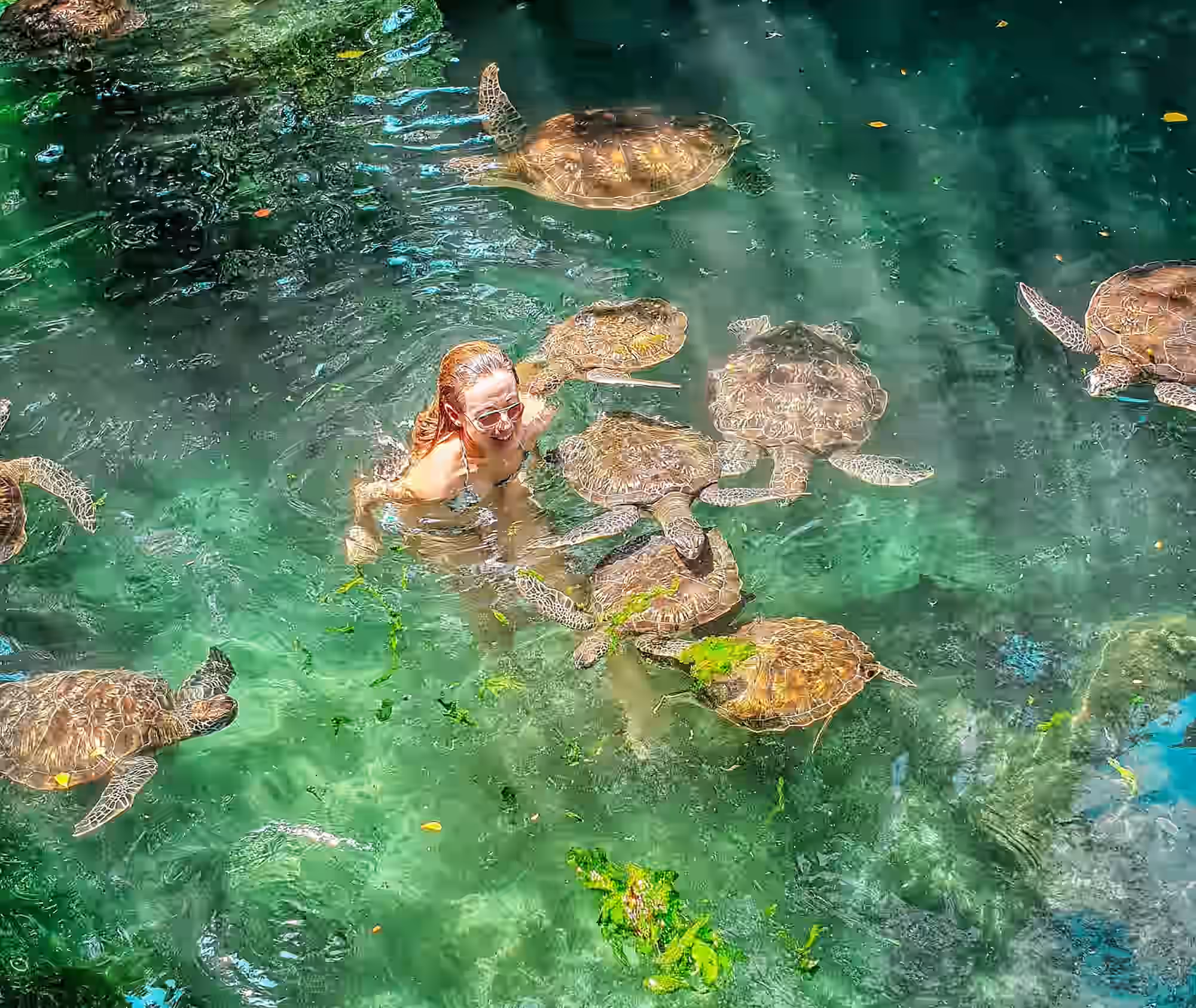 Baraka Natural Aquarium (Salaam Cave Turtles) gallery 4