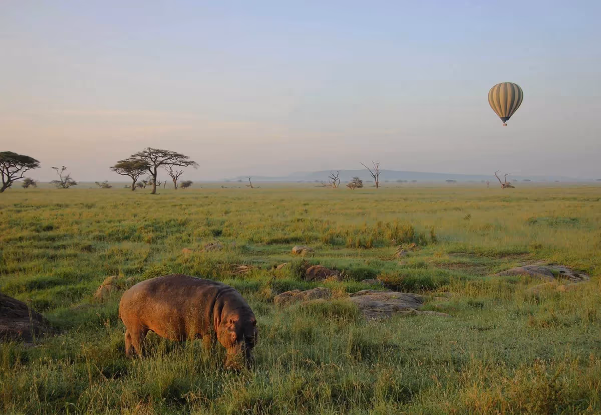 Hot Air Baloon in Tarangire gallery 0