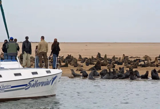 Walvis Bay Marine Big 5 Luxury Catamaran Cruise gallery 7