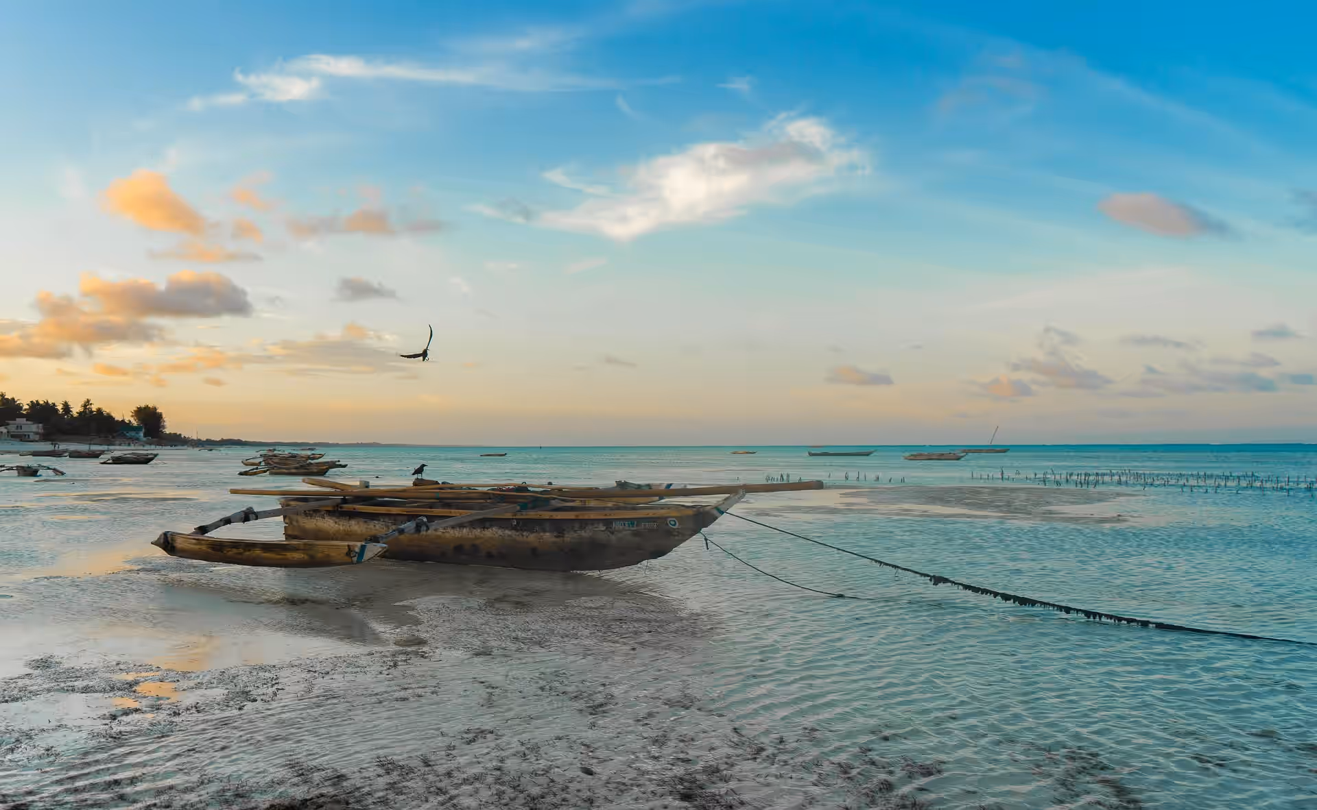 Prison Island and Nakupenda Boat Trip gallery 2