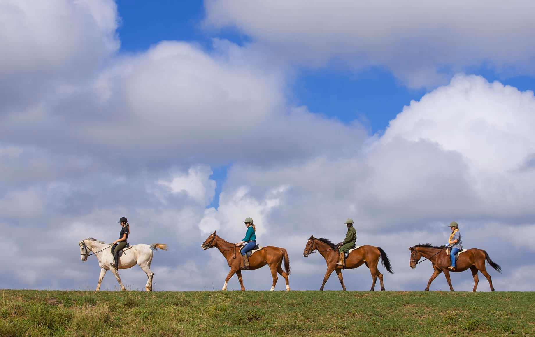 Horse Riding & Camel Trekking Safaris gallery 2